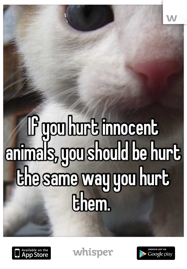 If you hurt innocent animals, you should be hurt the same way you hurt them. 