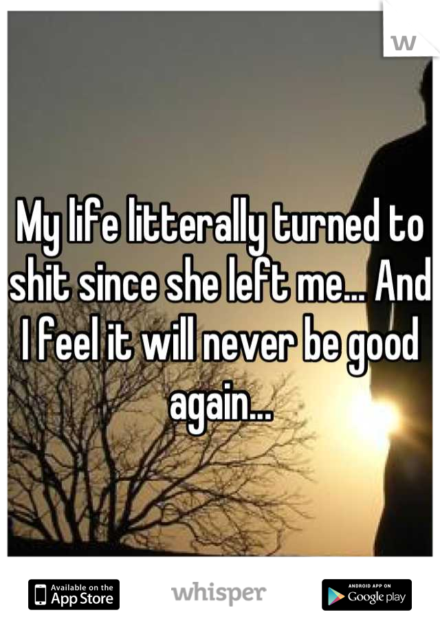 My life litterally turned to shit since she left me... And I feel it will never be good again...