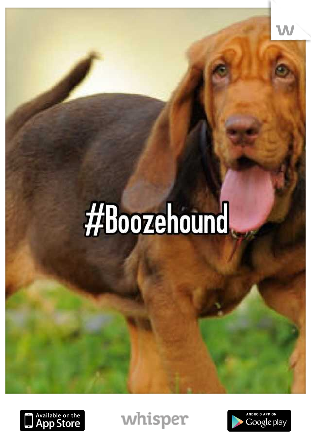 #Boozehound