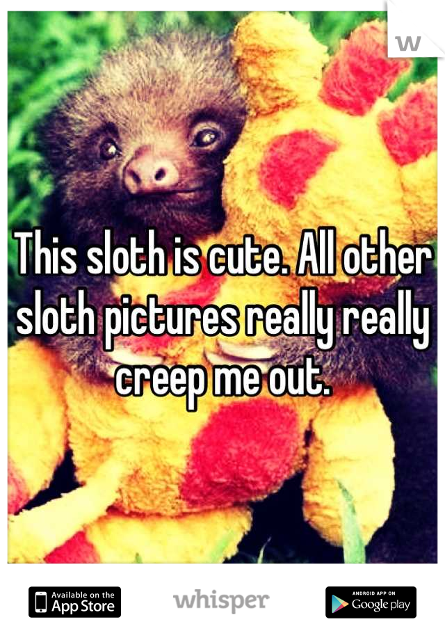 This sloth is cute. All other sloth pictures really really creep me out.
