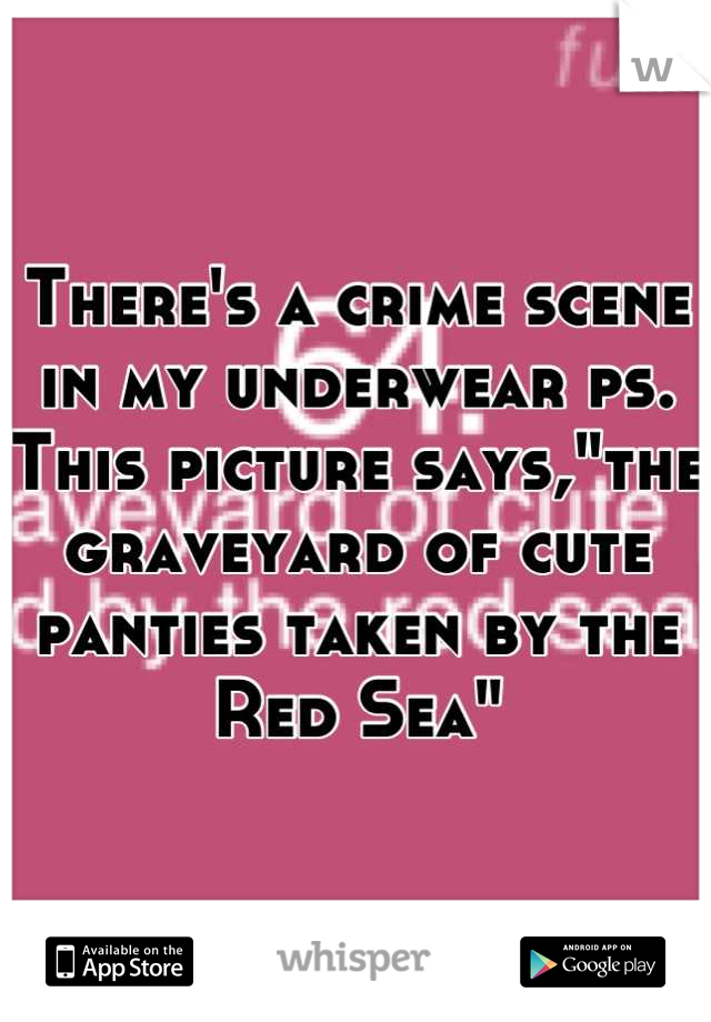 There's a crime scene in my underwear ps. This picture says,"the graveyard of cute panties taken by the Red Sea"