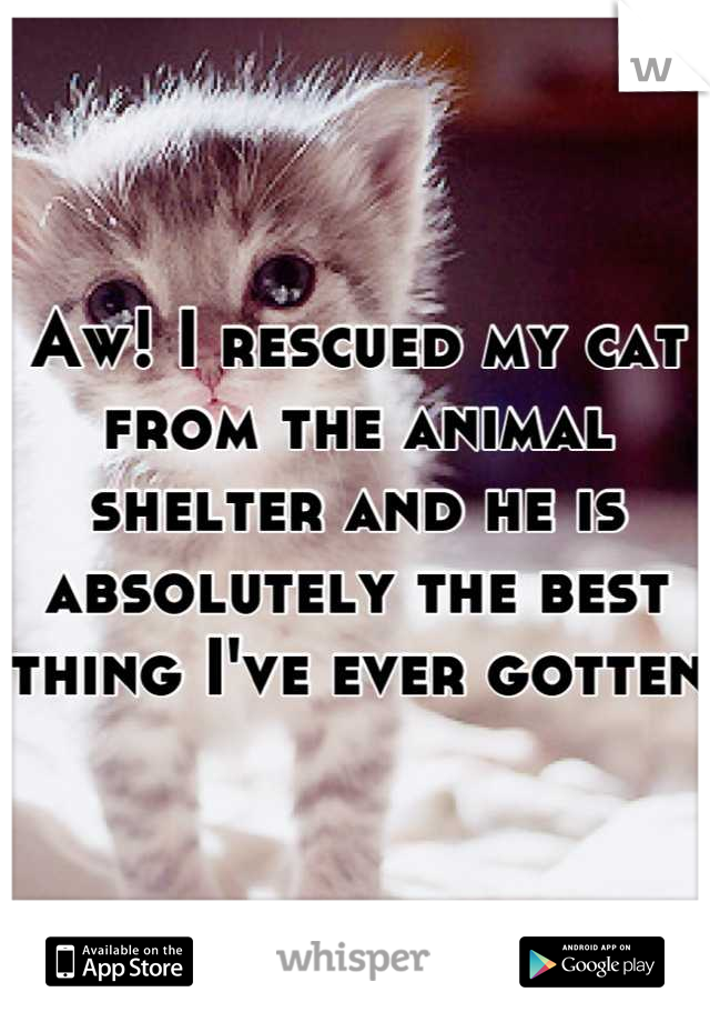 Aw! I rescued my cat from the animal shelter and he is absolutely the best thing I've ever gotten