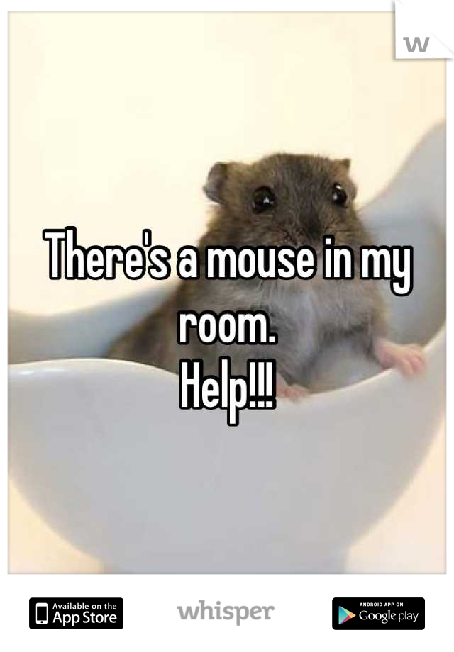 There's a mouse in my room. 
Help!!!