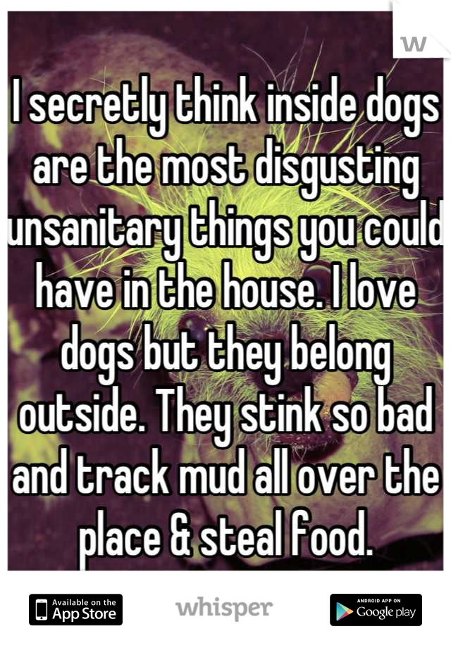 I secretly think inside dogs are the most disgusting unsanitary things you could have in the house. I love dogs but they belong outside. They stink so bad and track mud all over the place & steal food.