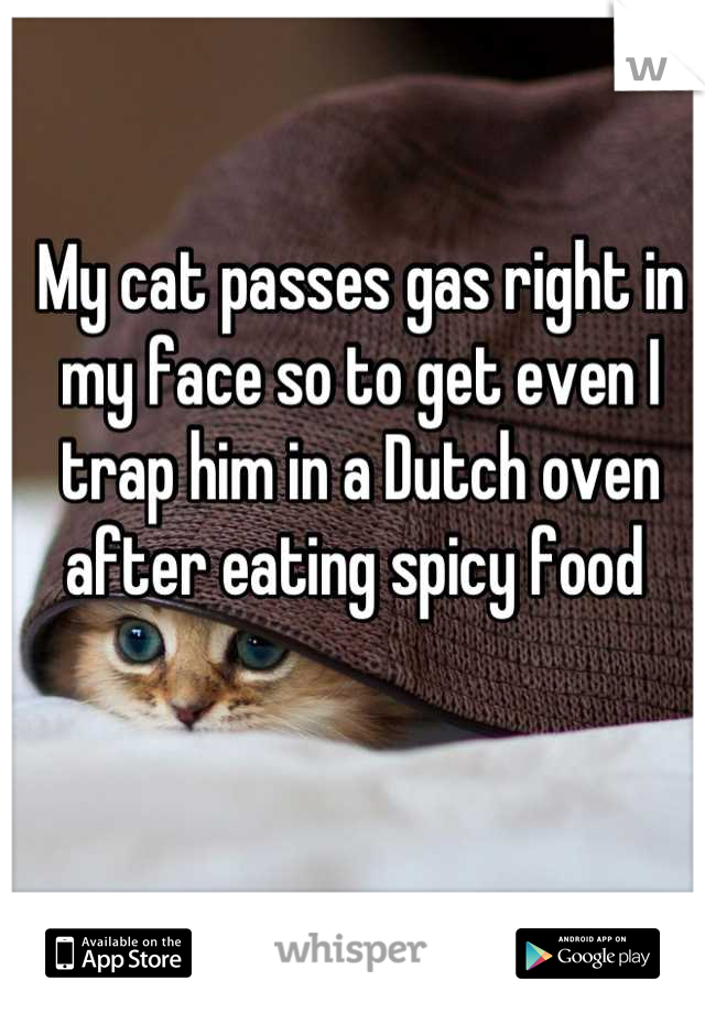 My cat passes gas right in my face so to get even I trap him in a Dutch oven after eating spicy food 