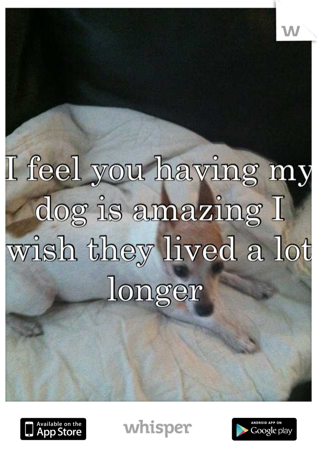 I feel you having my dog is amazing I wish they lived a lot longer 