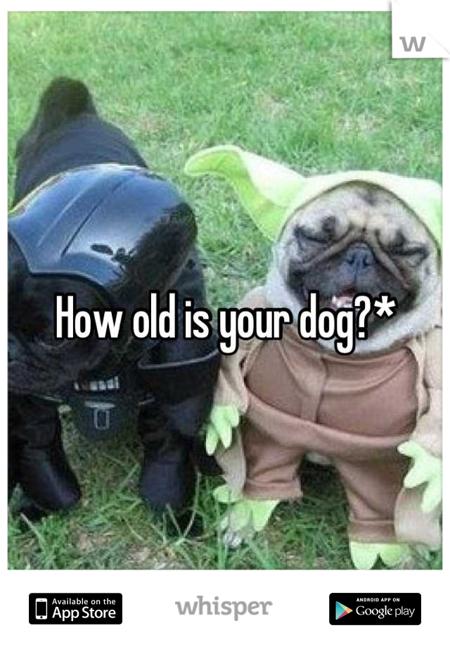 How old is your dog?*