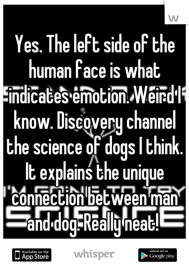 Yes. The left side of the human face is what indicates emotion. Weird I know. Discovery channel the science of dogs I think. It explains the unique connection between man and dog. Really neat! 