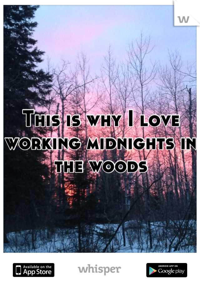 This is why I love working midnights in the woods
