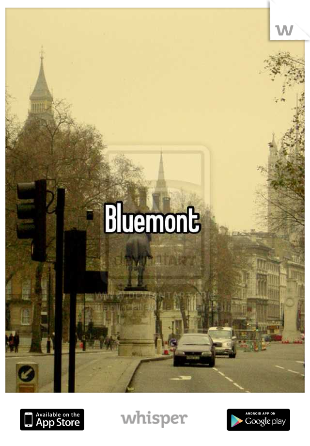 Bluemont 