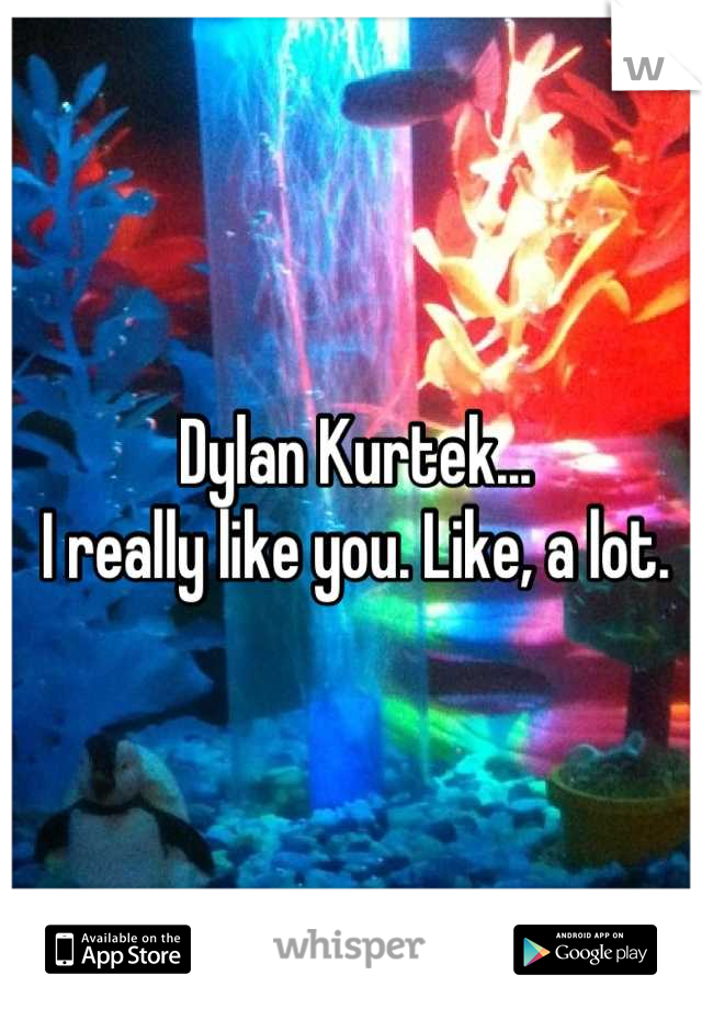 Dylan Kurtek...
I really like you. Like, a lot.