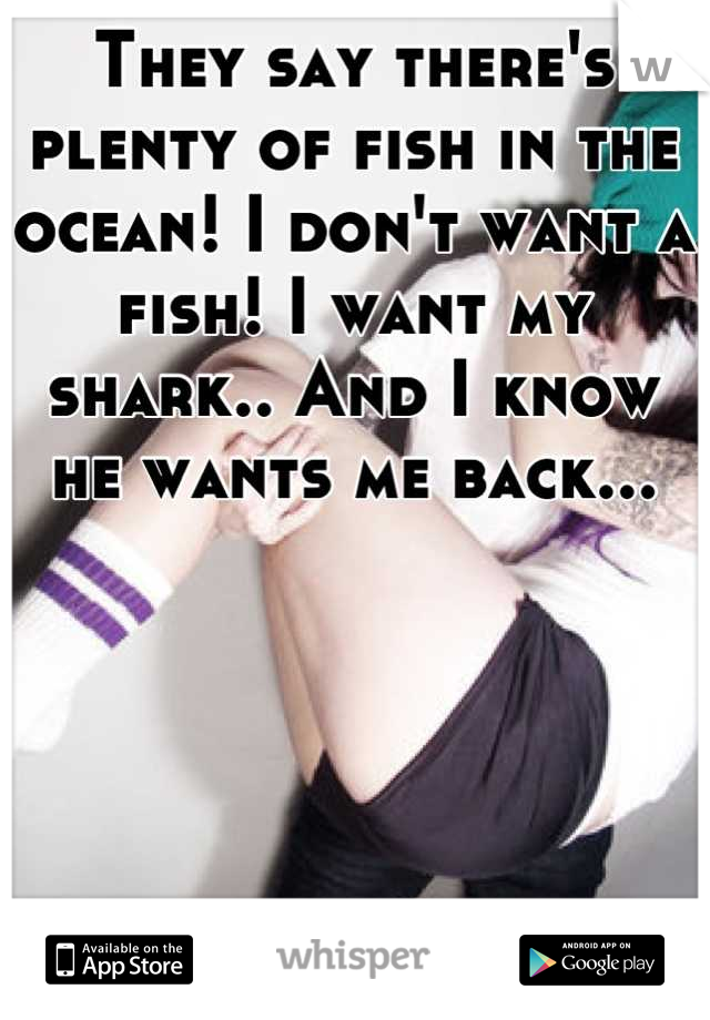 They say there's plenty of fish in the ocean! I don't want a fish! I want my shark.. And I know he wants me back...