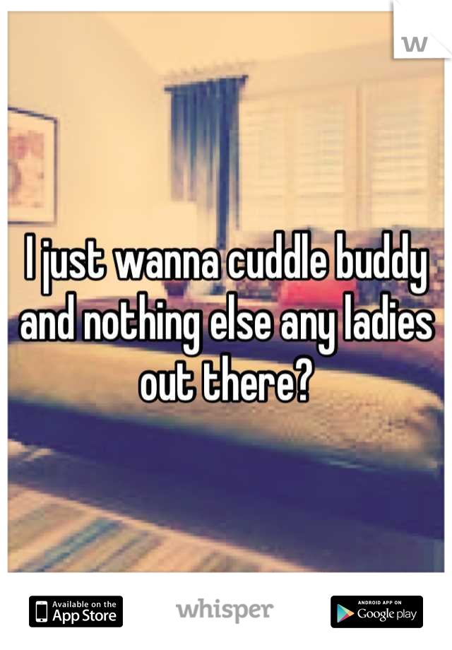 I just wanna cuddle buddy and nothing else any ladies out there?