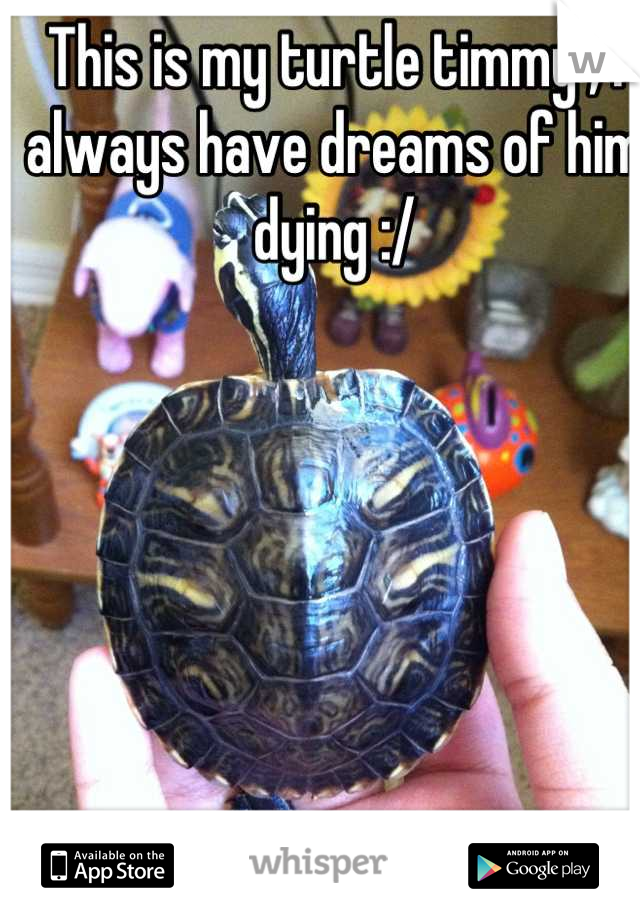 This is my turtle timmy , I always have dreams of him dying :/