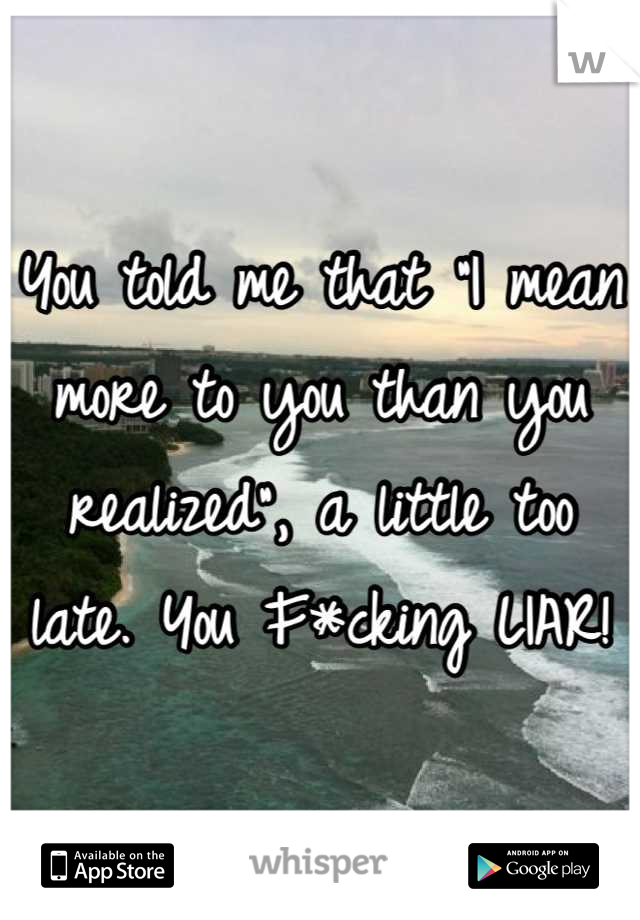 You told me that "I mean more to you than you realized", a little too late. You F*cking LIAR!