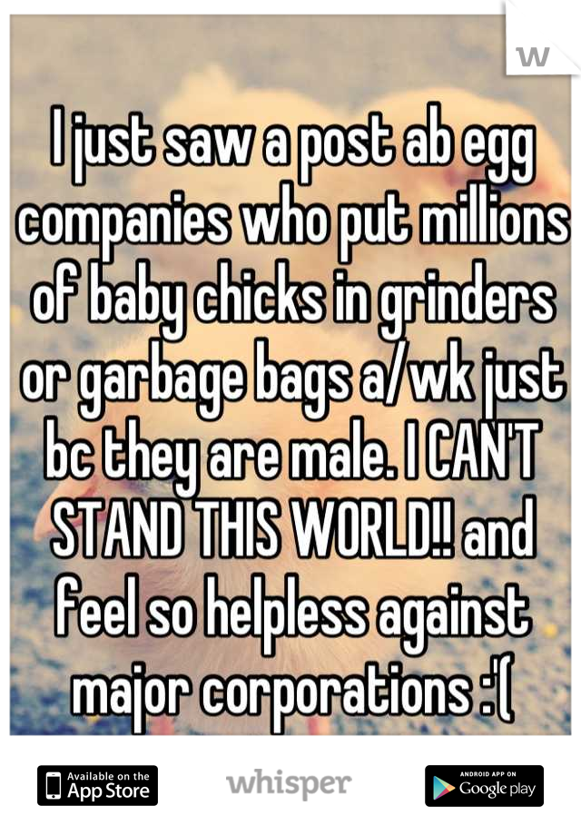 I just saw a post ab egg companies who put millions of baby chicks in grinders or garbage bags a/wk just bc they are male. I CAN'T STAND THIS WORLD!! and feel so helpless against major corporations :'(
