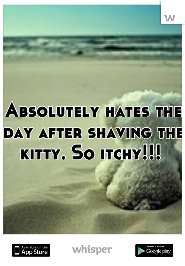 Absolutely hates the day after shaving the kitty. So itchy!!! 