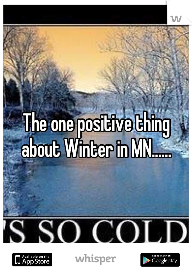 The one positive thing about Winter in MN......