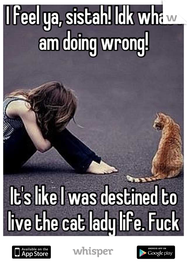 I feel ya, sistah! Idk what I am doing wrong!





It's like I was destined to live the cat lady life. Fuck me.