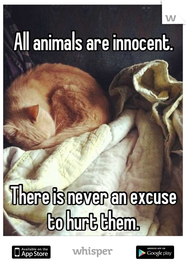 All animals are innocent. 





There is never an excuse
 to hurt them. 