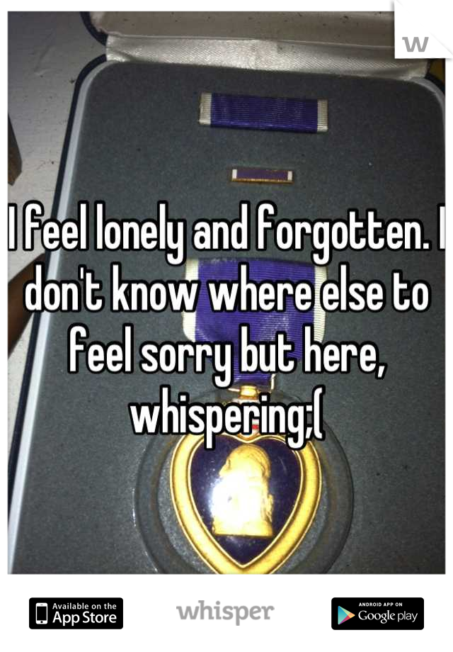I feel lonely and forgotten. I don't know where else to feel sorry but here, whispering;(