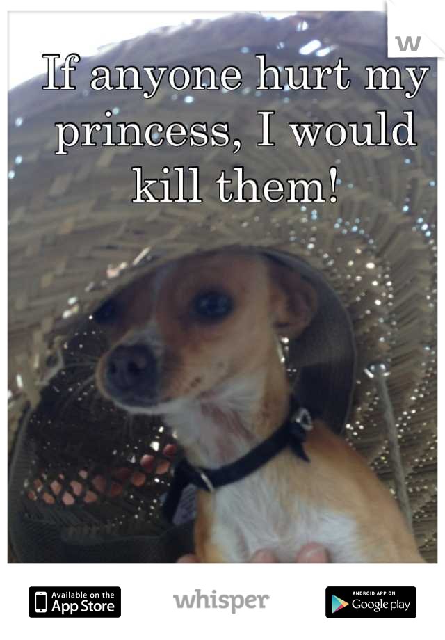 If anyone hurt my princess, I would kill them!