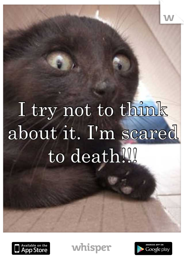 I try not to think about it. I'm scared to death!!!