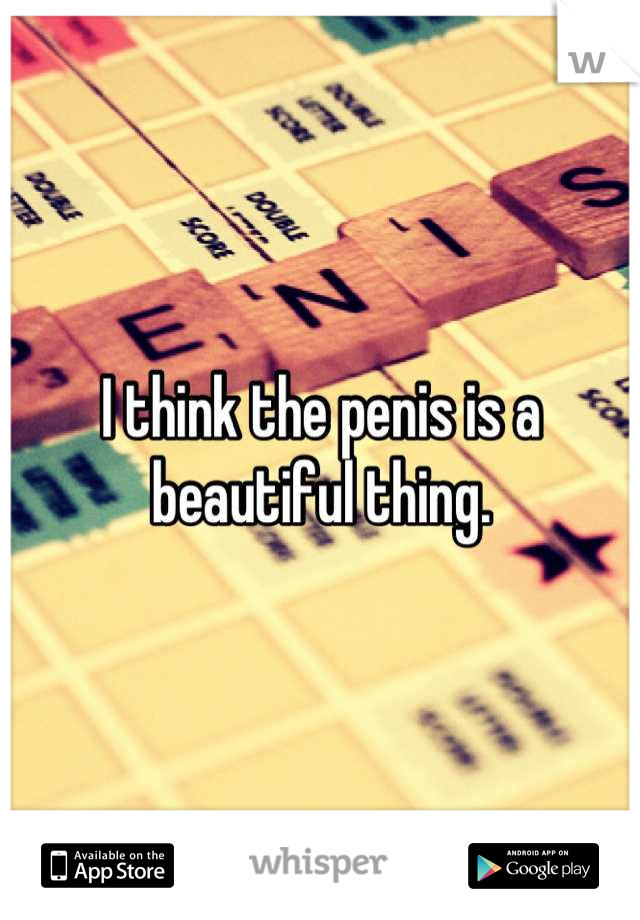 I think the penis is a beautiful thing.