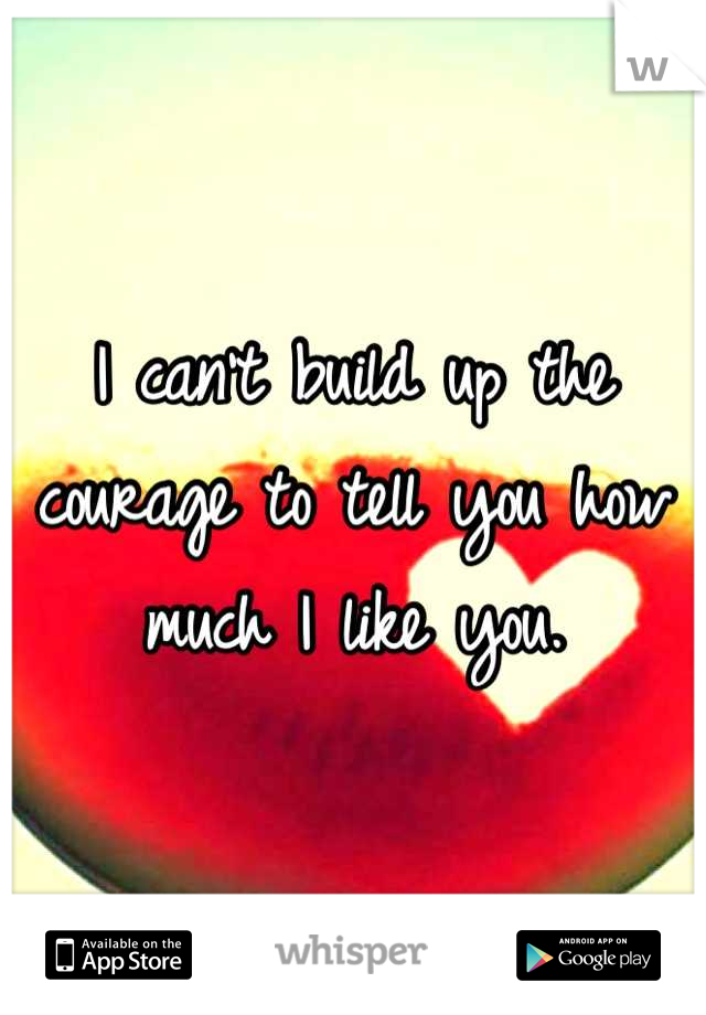 I can't build up the courage to tell you how much I like you.