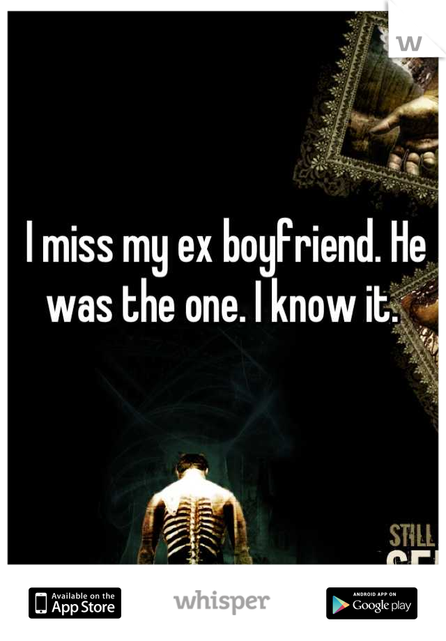 I miss my ex boyfriend. He was the one. I know it. 