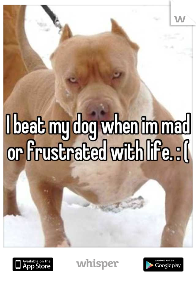 I beat my dog when im mad or frustrated with life. : (