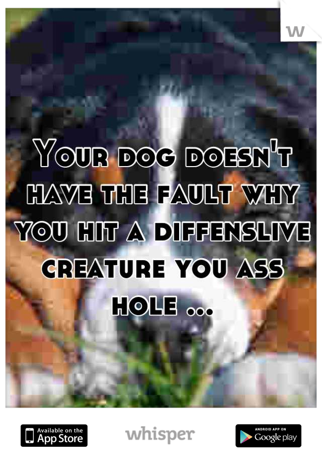 Your dog doesn't have the fault why you hit a diffenslive creature you ass hole ...