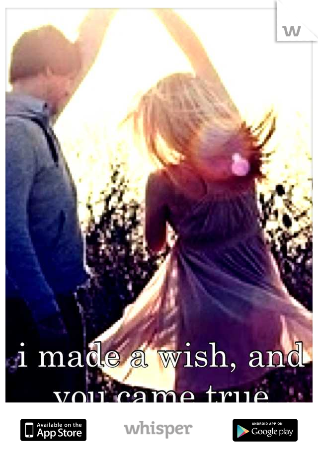 i made a wish, and you came true