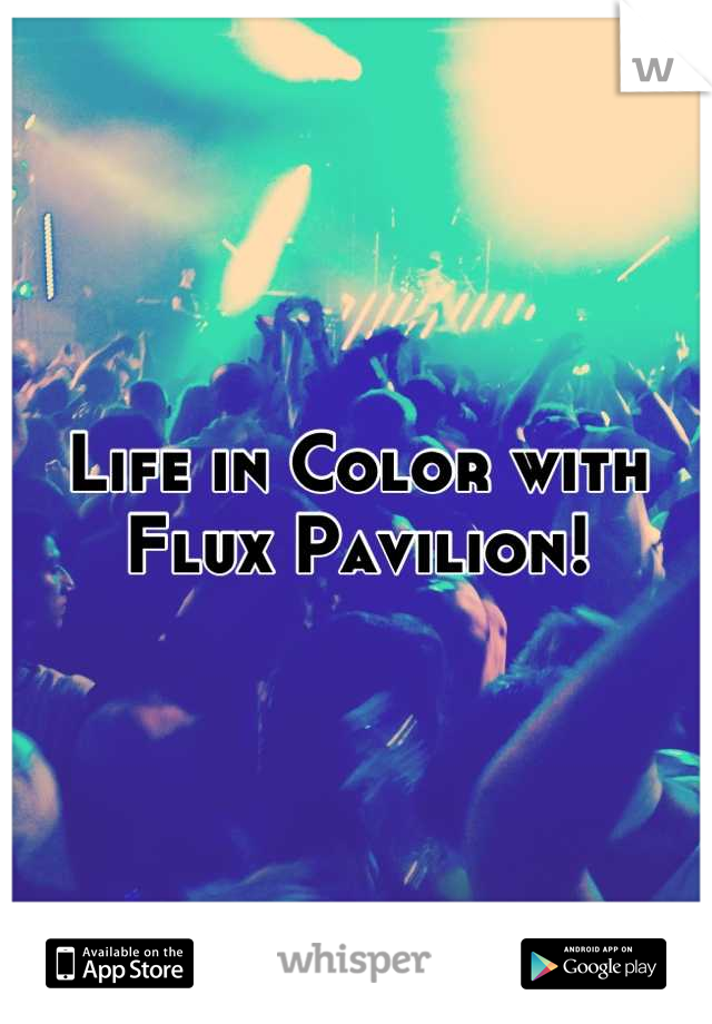 Life in Color with Flux Pavilion!