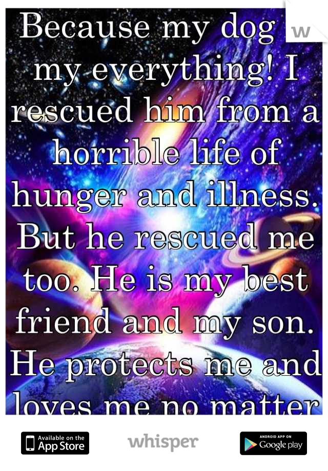 Because my dog is my everything! I rescued him from a horrible life of hunger and illness. But he rescued me too. He is my best friend and my son. He protects me and loves me no matter what!