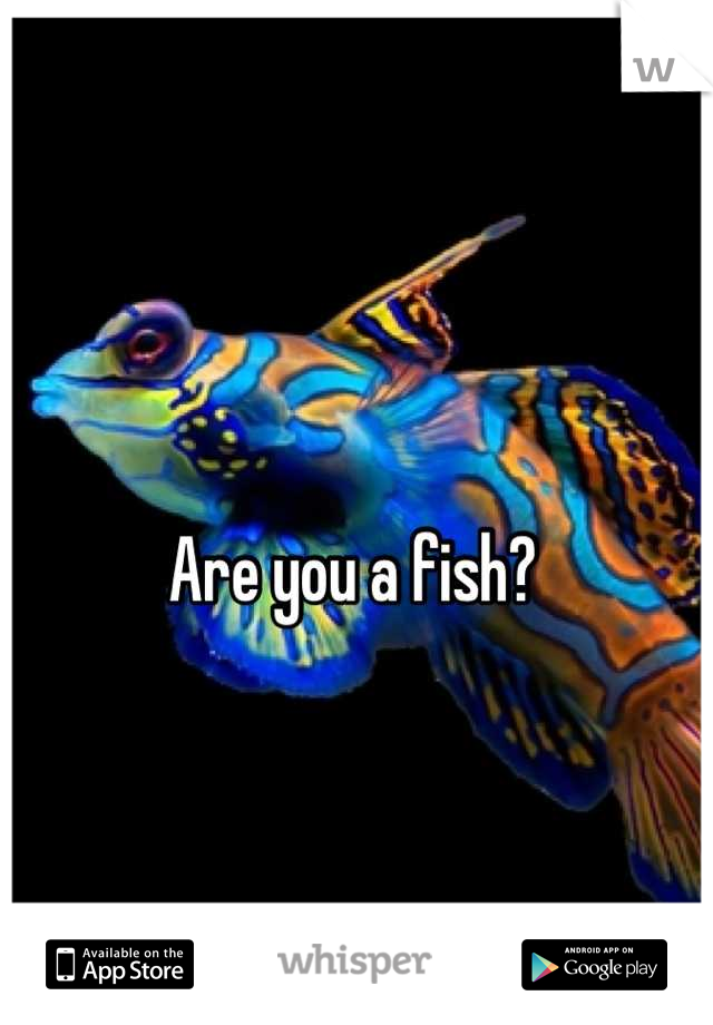 Are you a fish?
