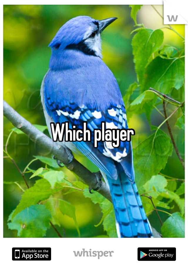 Which player 