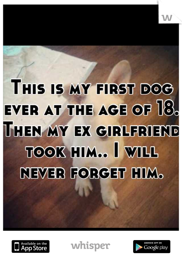 This is my first dog ever at the age of 18. Then my ex girlfriend took him.. I will never forget him.