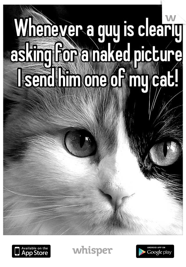 Whenever a guy is clearly asking for a naked picture, I send him one of my cat!