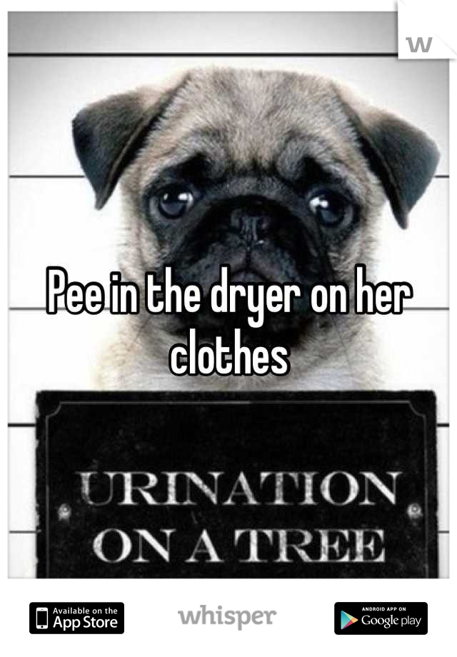 Pee in the dryer on her clothes
