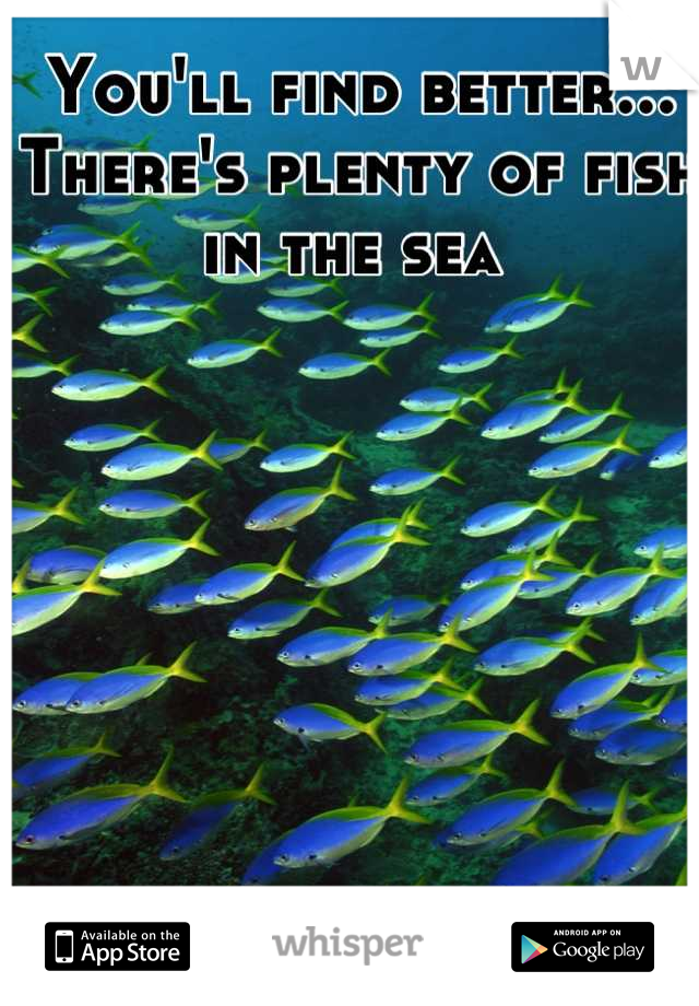 You'll find better... There's plenty of fish in the sea 