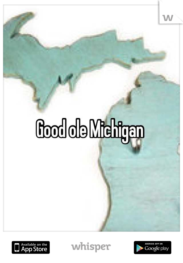 Good ole Michigan 