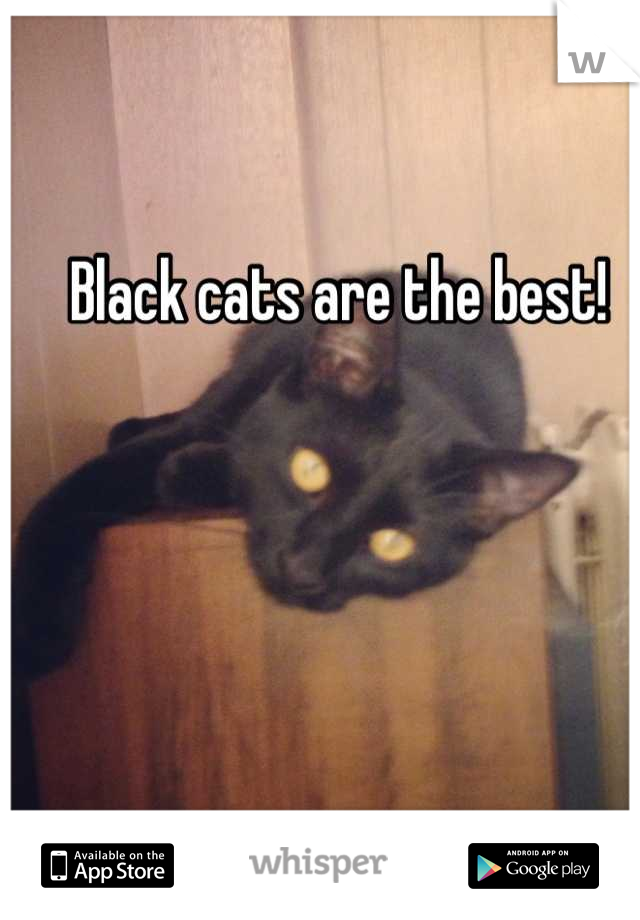 Black cats are the best!
