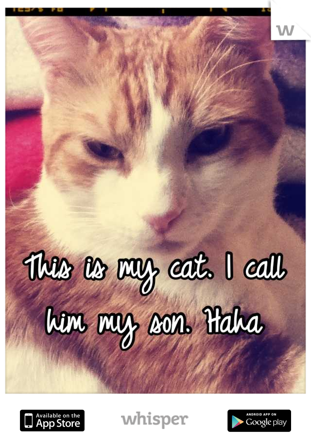 This is my cat. I call him my son. Haha