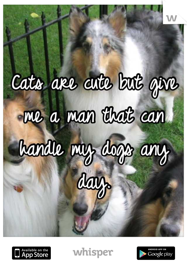 Cats are cute but give me a man that can handle my dogs any day.