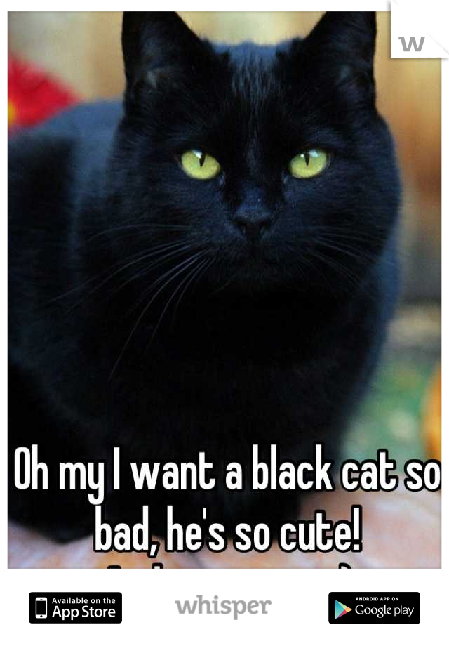 Oh my I want a black cat so bad, he's so cute! 
And so are you:)