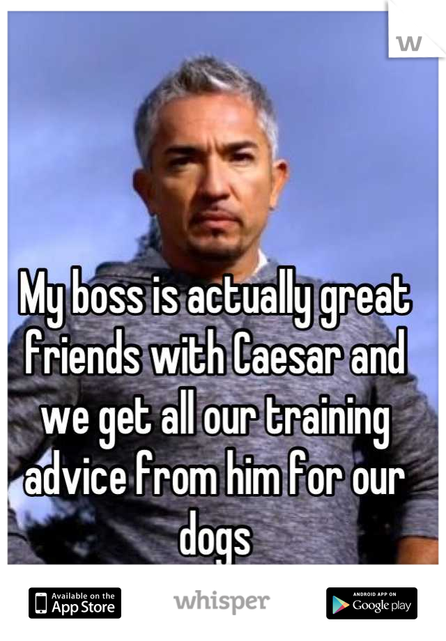 My boss is actually great friends with Caesar and we get all our training advice from him for our dogs