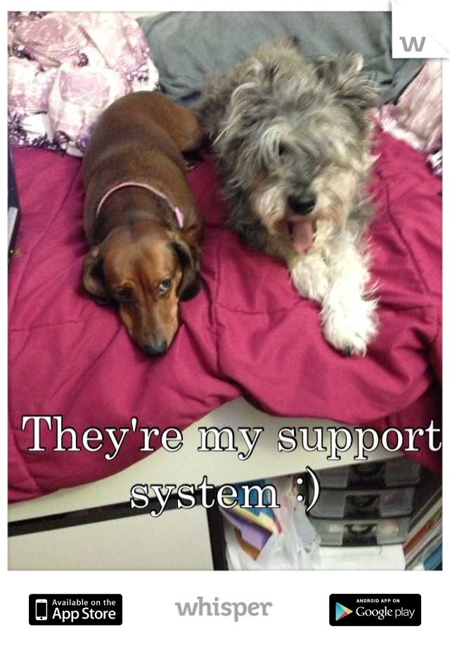 They're my support system :) 