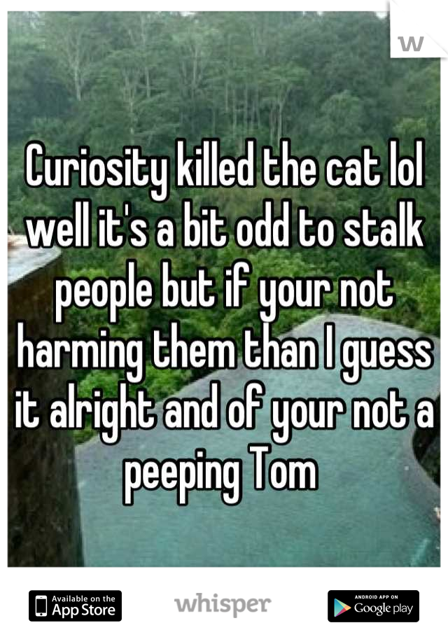 Curiosity killed the cat lol well it's a bit odd to stalk people but if your not harming them than I guess it alright and of your not a peeping Tom 