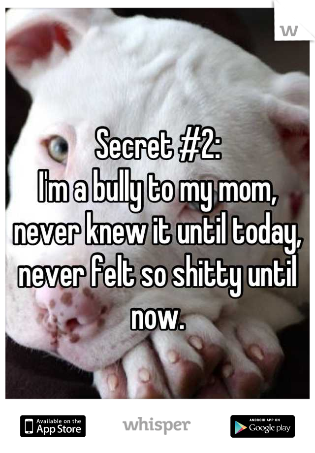 Secret #2:
I'm a bully to my mom, never knew it until today, never felt so shitty until now.